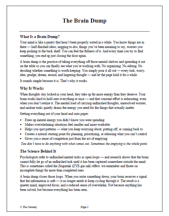The Brain Dump